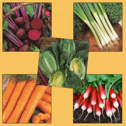 Picture of Vegetable Garden - Allotment Starter Pack