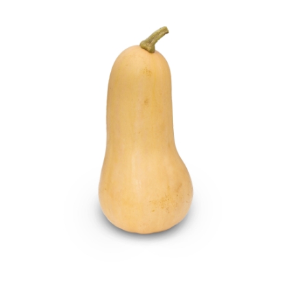 Picture of Winter Squash Sweetmax F1