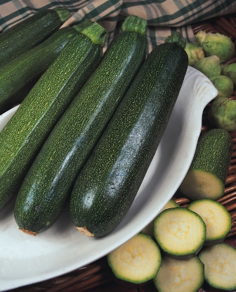 Picture of Courgette All Green Bush