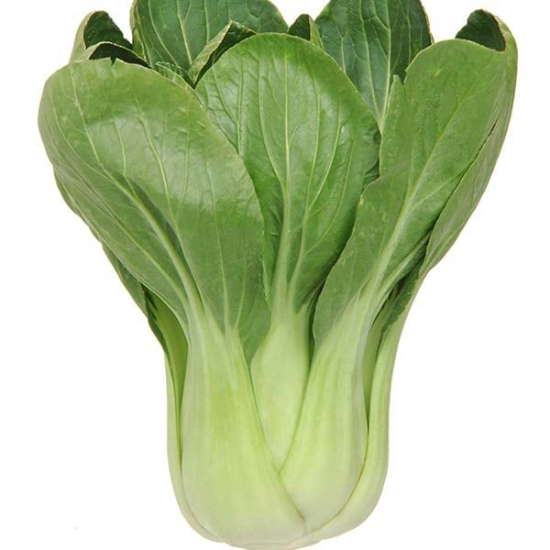 You Qing Choi F1 | Wholesale & commercial seed merchants and growers ...