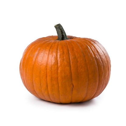 Picture of Pumpkin Boomer F1