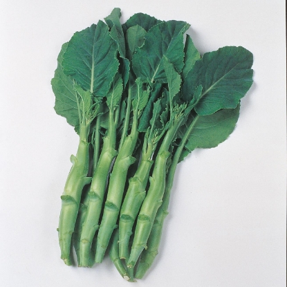 Picture of Chinese Broccoli/Kale Kailaan