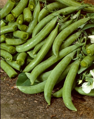 Picture of Pea Delikett