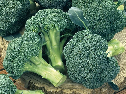 Calabrese (Broccoli) Ironman F1 | Wholesale & commercial seed merchants ...