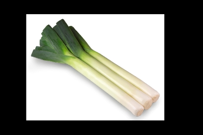 Picture of Leek Lancaster Tz7271
