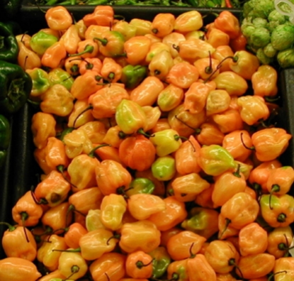 Picture of Habanero Lemon Chilli Pepper
