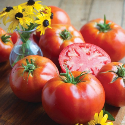 Picture of Tomato Big Daddy F1