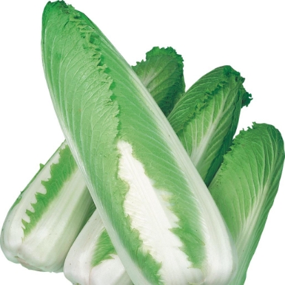 Picture of Chinese Cabbage Green Rocket F1