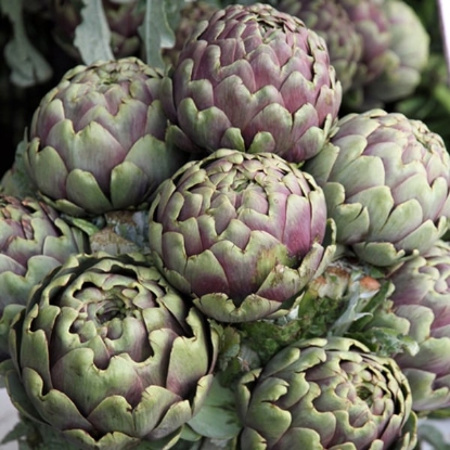 Picture of Artichoke Romanesco