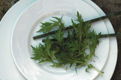 Picture of Organic Mizuna