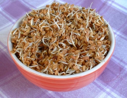 Picture of Organic Fenugreek