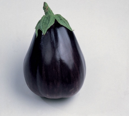 Picture of Organic Aubergine Black Beauty