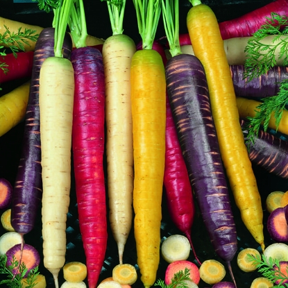 Picture of Carrot Mix