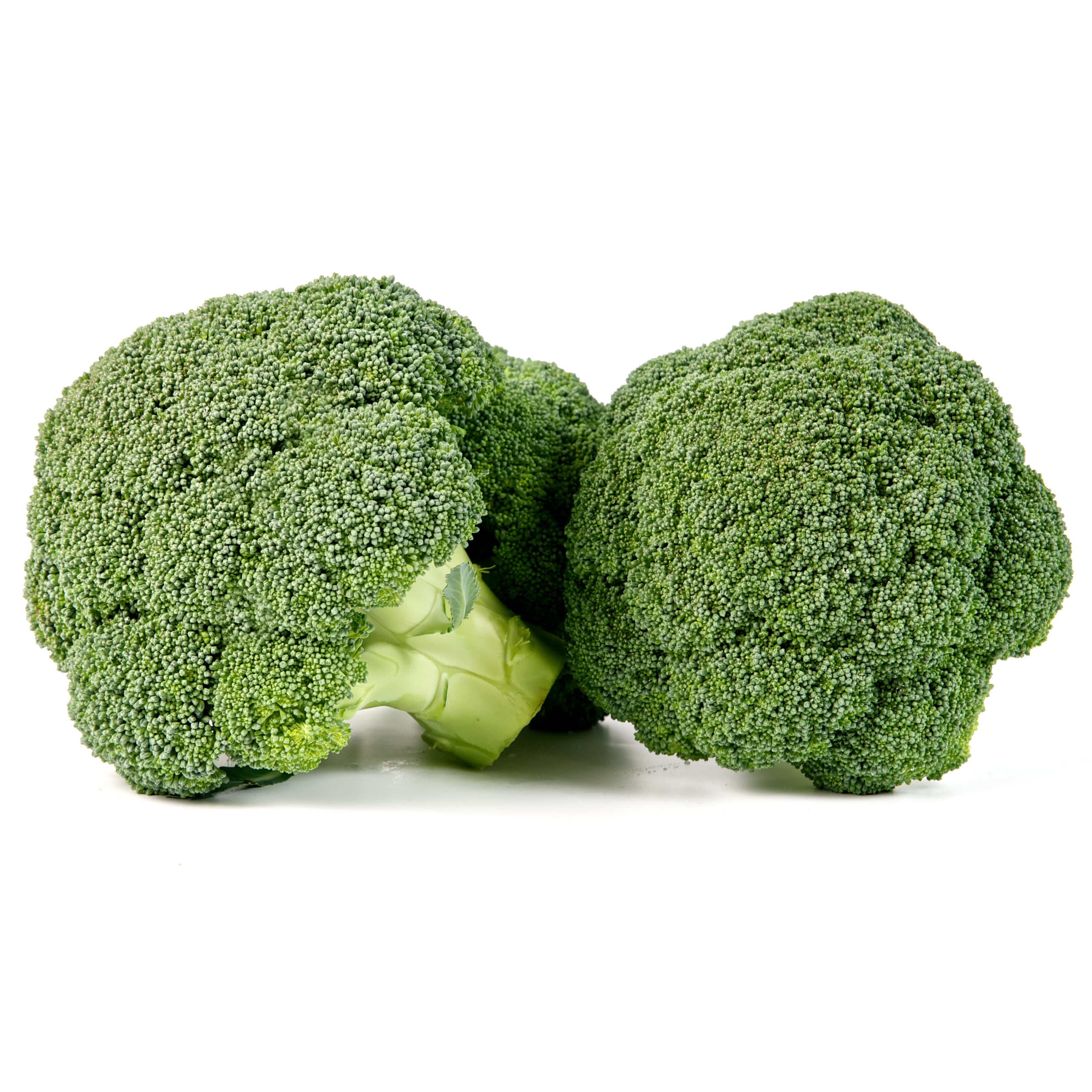 Calabrese (Broccoli) Eos F1 | Wholesale & commercial seed merchants and ...