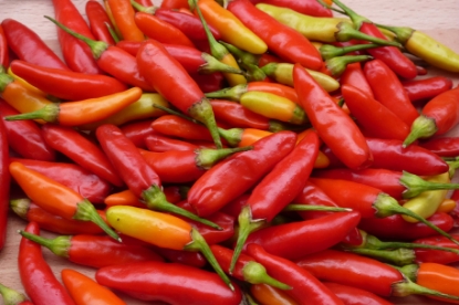 Picture of Tabasco Chilli Pepper