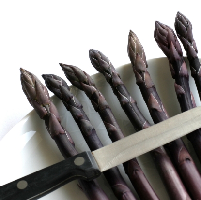 Picture of Asparagus Crowns -  Purple - Delivery April 2027