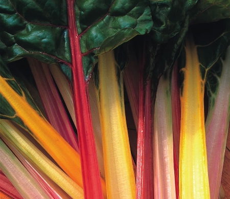 Picture for category Beet