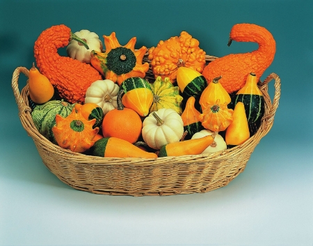 Picture for category Gourd