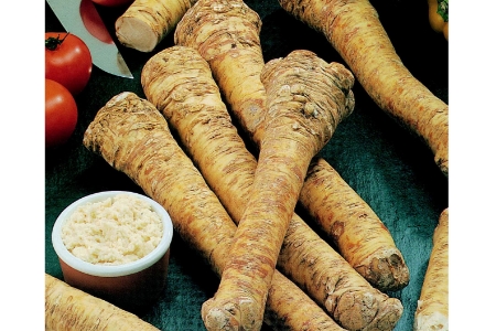 Picture for category Horseradish