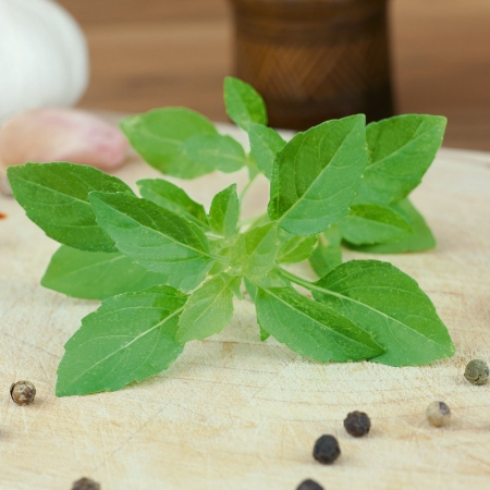 Picture for category Organic Herbs