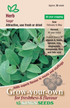 Picture of Herb Sage