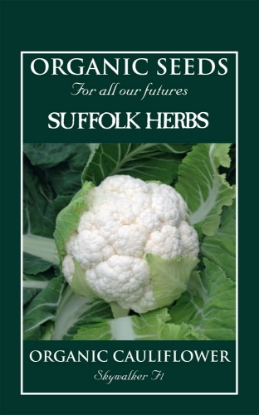 Picture of Cauliflower Skywalker F1 Organic Seed