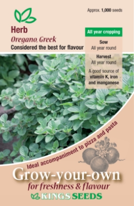 Picture of Herb Oregano Greek