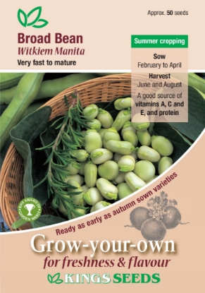 Picture of Broad Bean Witkiem Manita 