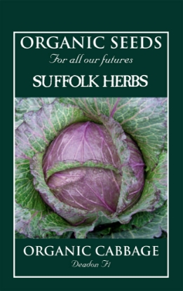 Picture of Cabbage Deadon F1 Organic Seed