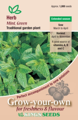 Picture of Herb Mint Green