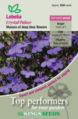 Picture of Lobelia Crystal Palace