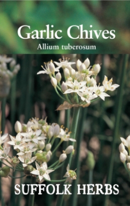 Picture of Chives Garlic