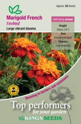 Picture of Marigold French Firebird