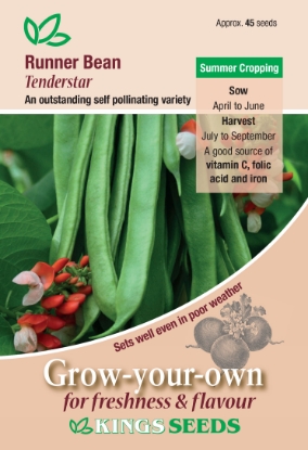 Picture of Runner Bean Tenderstar - 