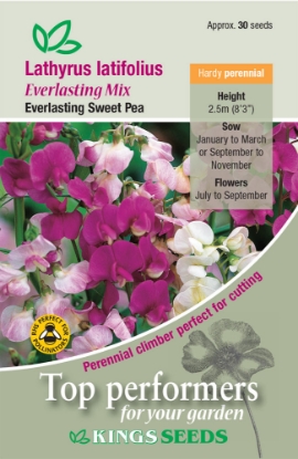 Picture of Lathyrus Latifolius Mixed