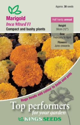 Picture of Marigold African Inca Mixed F1