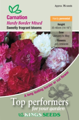 Picture of Carnation Hardy Border Mixed