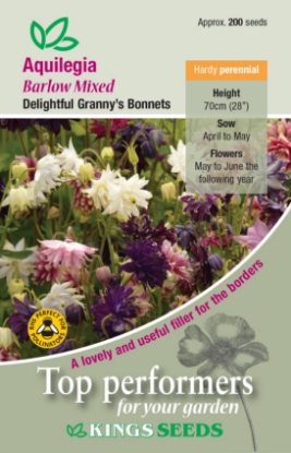 Picture of Aquilegia Barlow Mixed