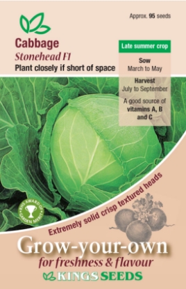 Picture of Cabbage Stonehead F1 RHS AGM