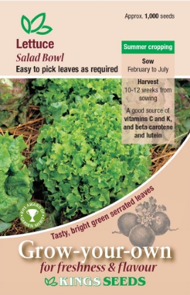 Picture of Lettuce Salad Bowl Green RHS AGM