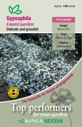 Picture of Gypsophila Covent Garden