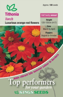 Picture of Tithonia Torch