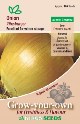 Picture of Onion Rijnsburger