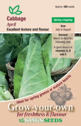 Picture of Cabbage April
