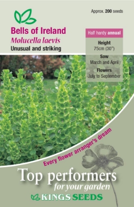Picture of Bells Of Ireland Molucella Laevis
