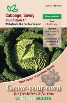 Picture of Cabbage, Savoy Resolution F1