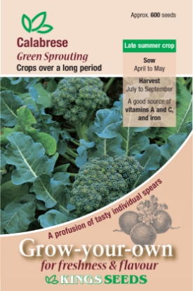 Picture of Calabrese Green Sprouting