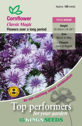 Picture of Cornflower Classic Magic