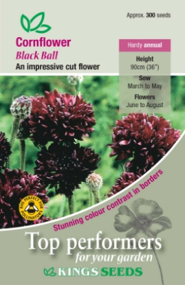 Picture of Cornflower Black Ball