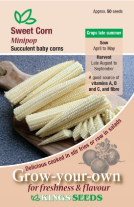 Picture of Sweet Corn Minipop